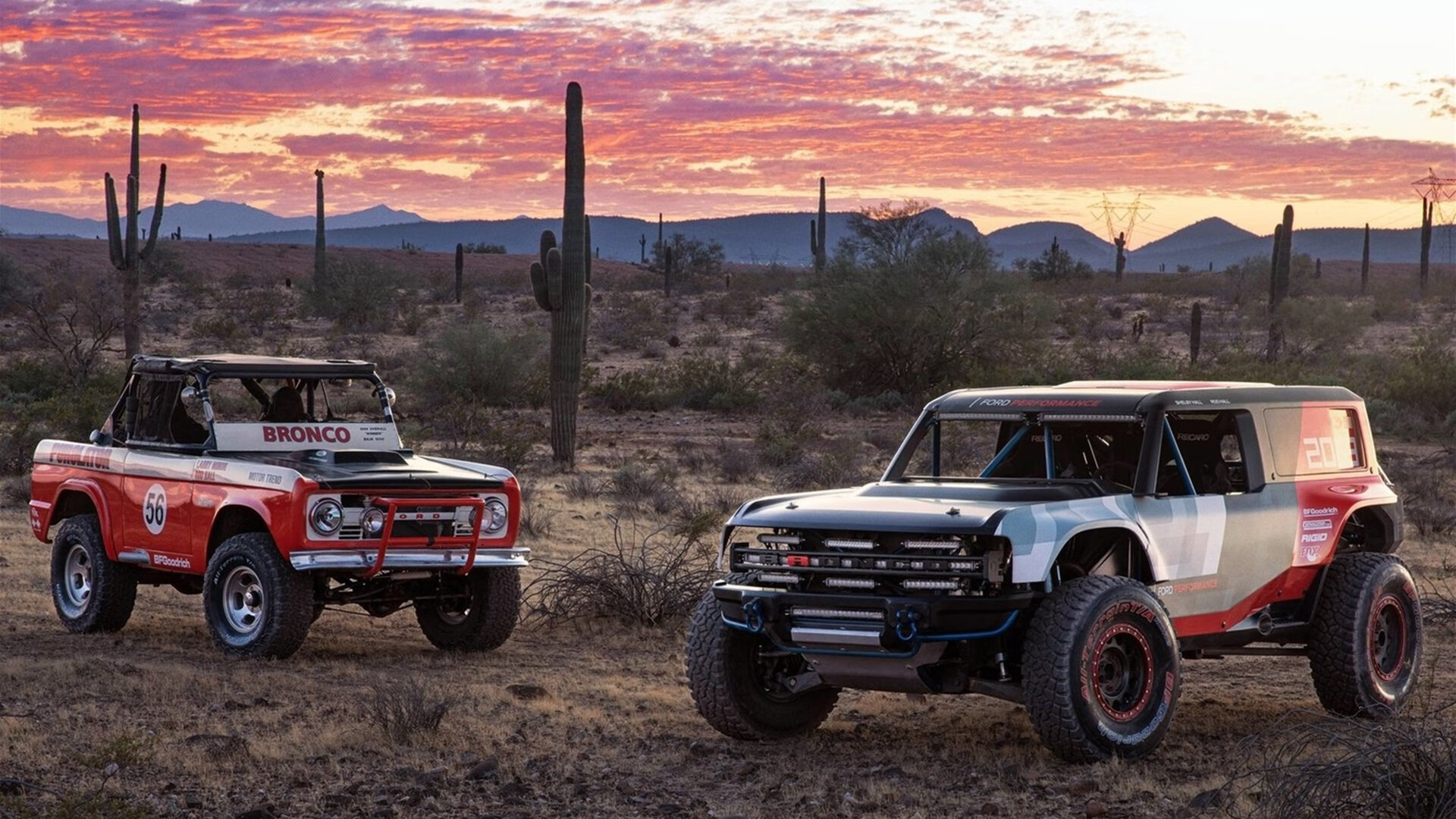 “武汉马拉松:挑战极限,谁能破纪录?”