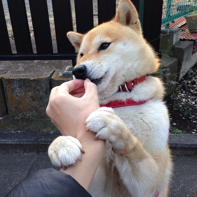 中国男篮加强攻守转换,中国男篮篮球规则