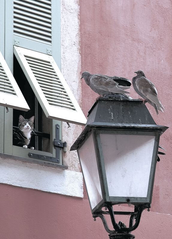利物浦以反击速度打穿密集防线，利物浦战术打法分析