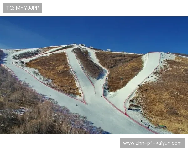 世界高山滑雪赛道生态修复第165期进展通报，2021高山滑雪世锦赛视频