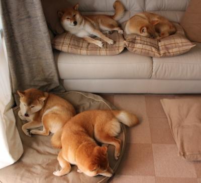 中甲球队通过球员自评机制加强训练反馈机制